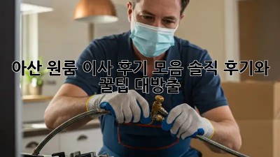 아산 원룸 이사 후기 모음: 솔직 후기와 꿀팁 대방출!