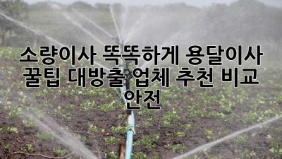 📦 소량이사 똑똑하게! 용달이사 꿀팁 대방출 (업체 추천, 비교, 안전)