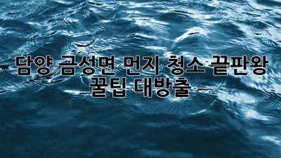 담양 금성면 먼지 청소 끝판왕 👑 꿀팁 대방출!