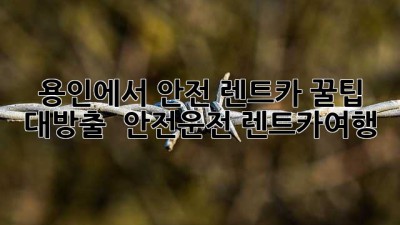 용인에서 안전 렌트카 꿀팁 대방출! 🚗💨 #안전운전 #렌트카여행